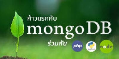 Basic MongoDB with PHP Python and NodeJS